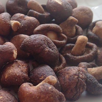 comprar Cor secada de Mini Mushroom Vacuum Not Add para crianças das mulheres gravidas online manufacture