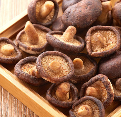 Bom preço Petiscos profundos de Fried Mushrooms Sweet Healthy Vegetable do Shiitake do óleo de palma on-line